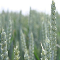 ASZ podpořila snahy MZe o snížení byrokracie, v jiných novelách však vidí problém